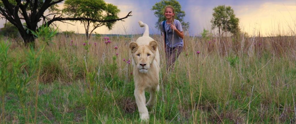 Image extraite du film Mia et le lion blanc