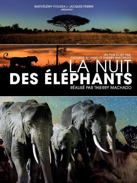 affiche du film La nuit des éléphants