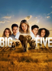 affiche du film Big five